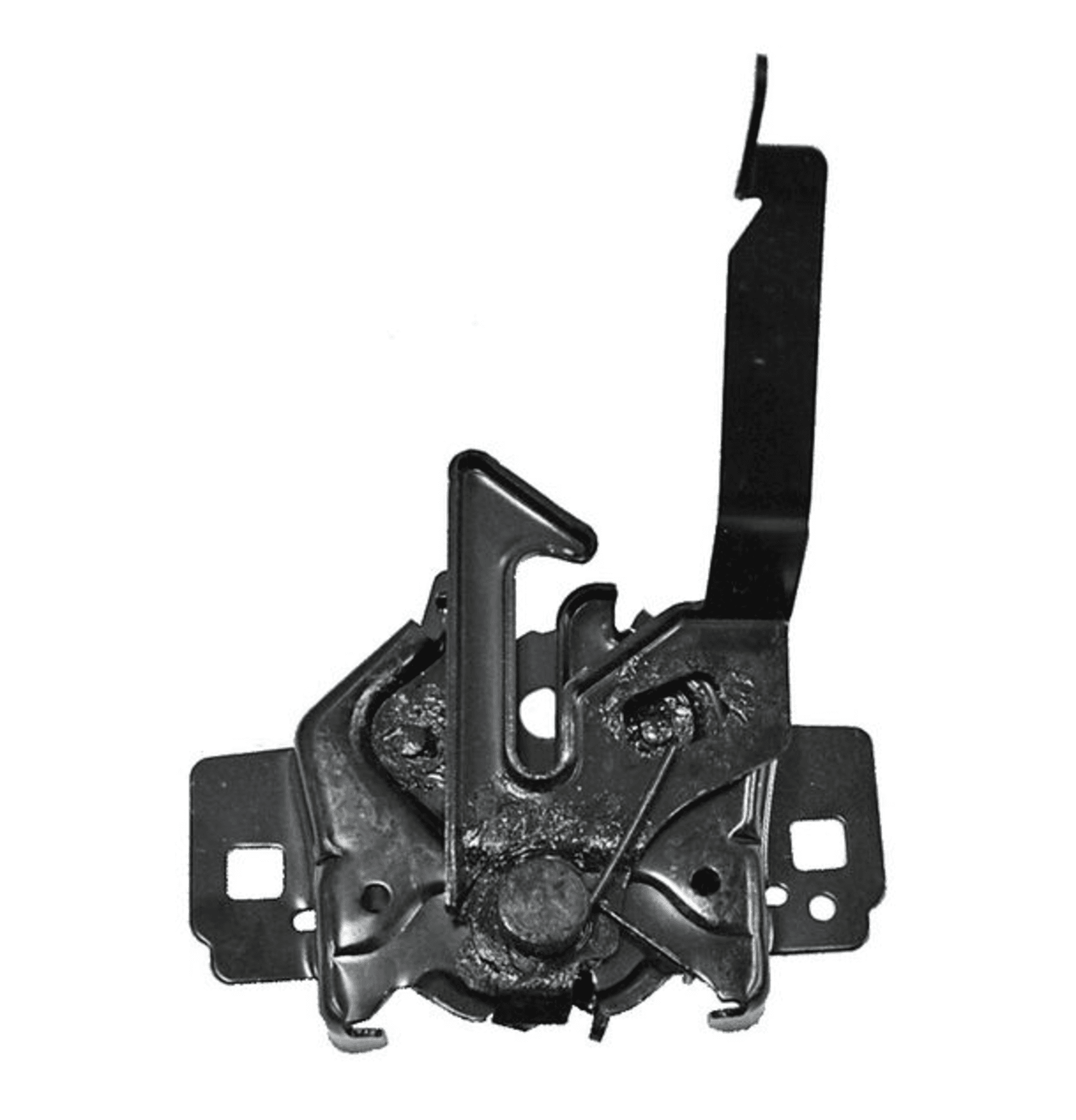 Chapa Cofre Ford Expedition 2003-2006