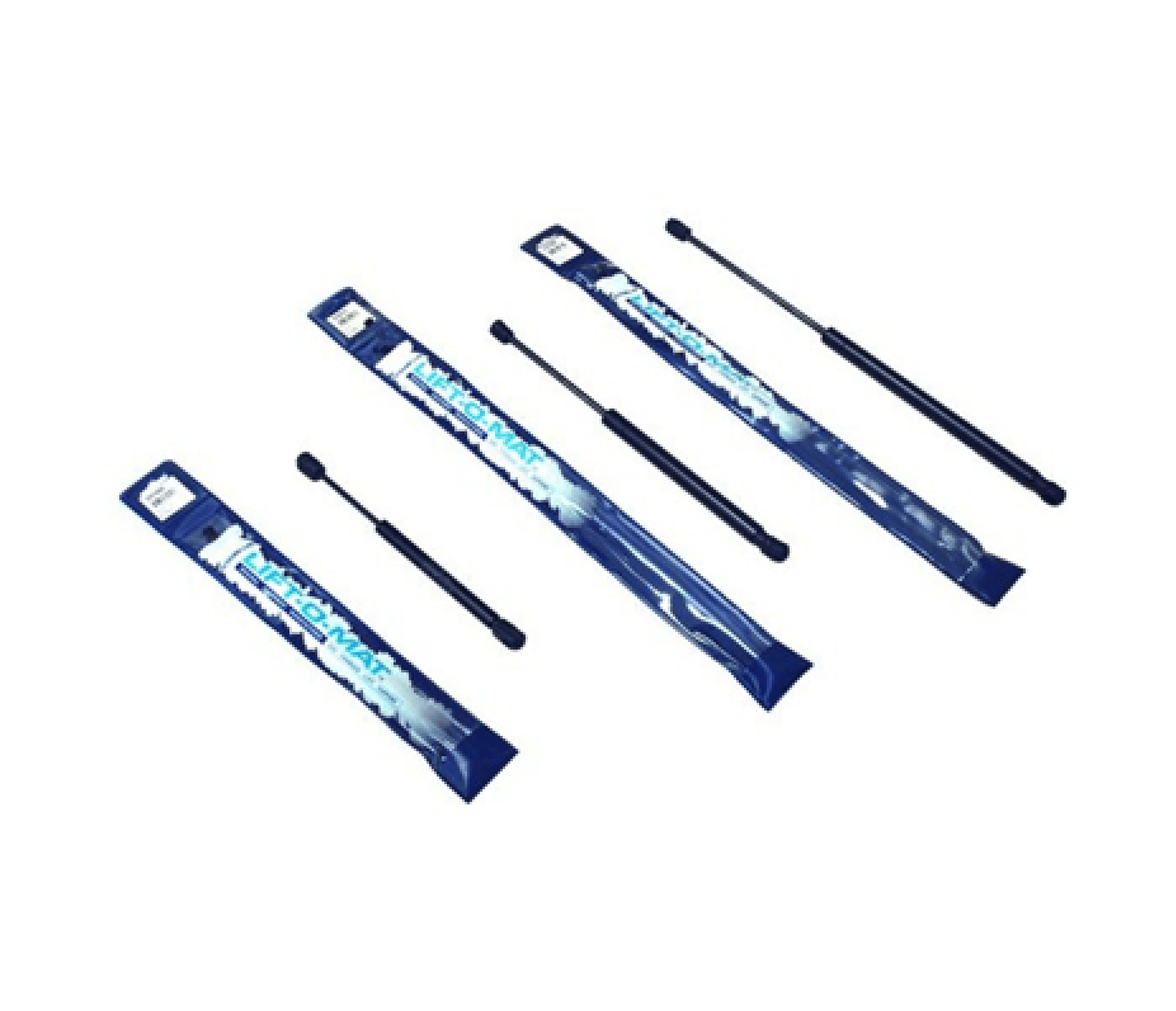 Resorte Gas Cajuela Bmw Serie 5 525 I 2001-2003-2003/ 528 I 1999-2000/ 530 I 2001-2003-2003/ 540 I 1997-2003 6